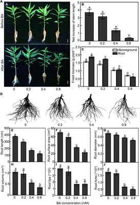 Integrative Physiological, Transcriptional, and Metabolic Analyses Provide Insights Into Response Mechanisms of Prunus persica to <mark class="highlighted">Autotoxicity</mark> Stress